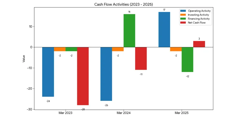 Cash flow statement 